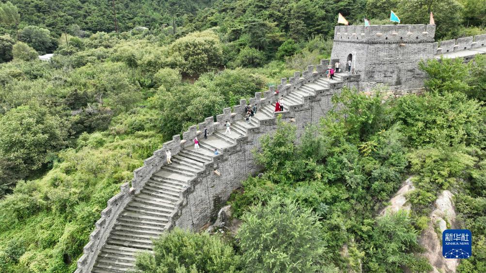 手机赌场官方软件