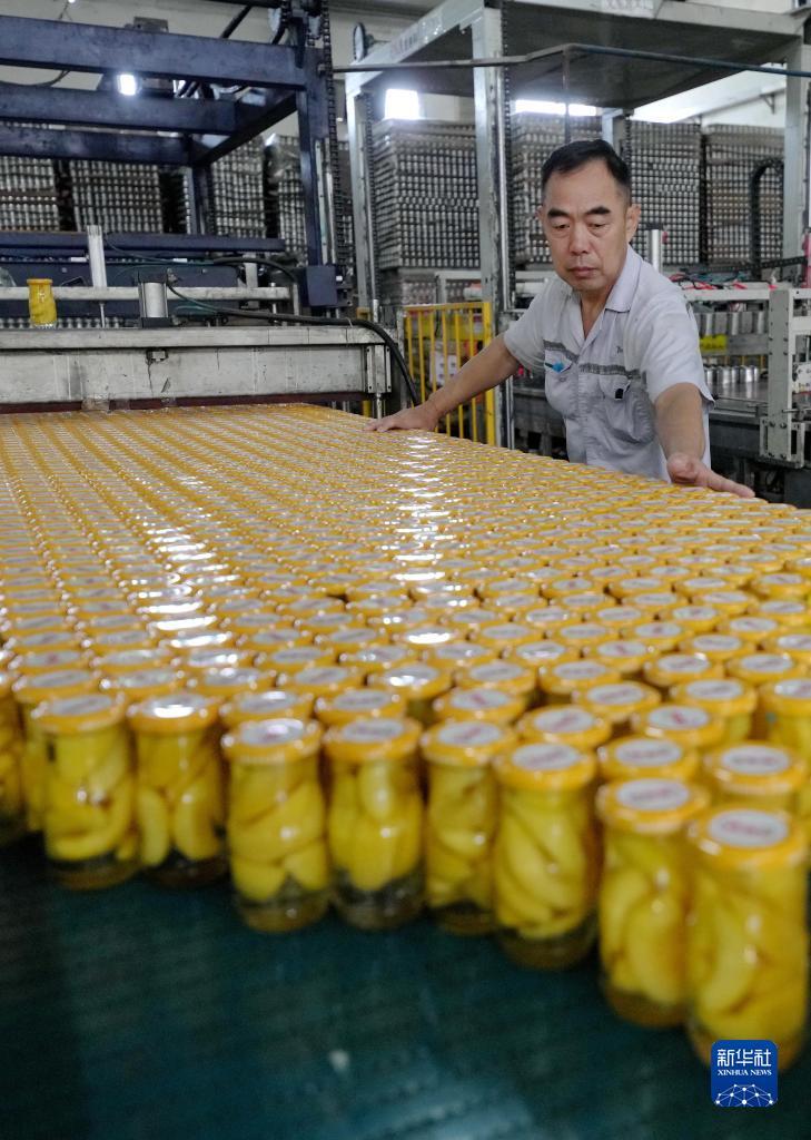 皇冠管理端登下载
